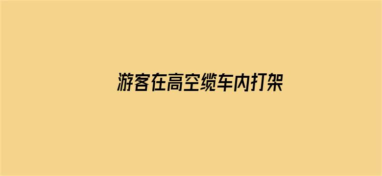 游客在高空缆车内打架 全车人惊呼